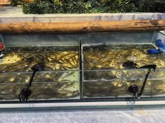 -川骄海鲜自助(河东店)