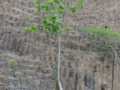 -六合国家地质公园桂子山景区