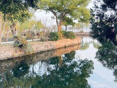 -无锡蠡湖国家湿地公园-蠡园