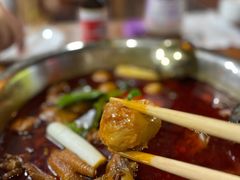 -佘记全家福芋儿鸡(向阳街总店)