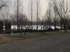 -北坞公园