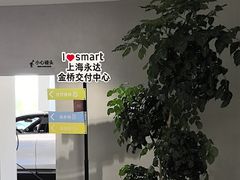 -上海浦东smart汽车全功能店(金桥店)