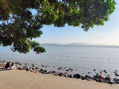 -深圳湾公园(南山区)