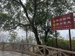 -岳麓山风景名胜区