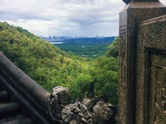 -韬光茶庵