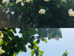 -杭州城北体育公园