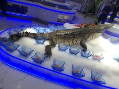 南极鳄冰鱼-澜悦港海鲜体验主题餐厅