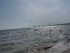 -老虎石海上公园