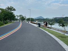 -羊山湖公园