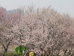 -太阳宫公园