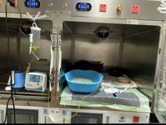 -康成宠物医院24H·CT·核磁共振