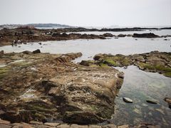 -青岛第二海水浴场