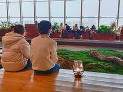 -Seesaw Coffee(朝阳大悦城店)