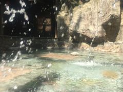 -宁海森林温泉