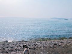 -青岛海滨风景区
