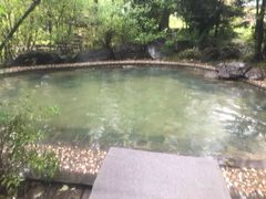 -金水鹤温泉国际酒店