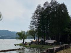 -无锡蠡湖国家湿地公园-蠡园