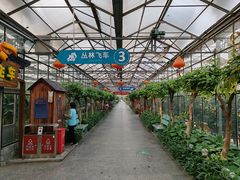 -南宫五洲植物乐园