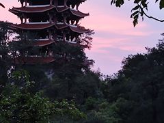 -缙云山景区