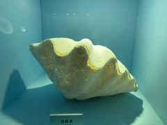 -温州博物馆