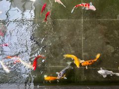 -天津海河悦榕庄·Lobby Lounge大堂吧