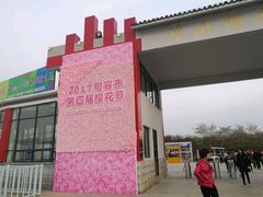 -天王浮山樱花园