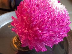 -大拙里·精致融合菜(沙湖桃源国际店)