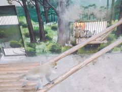 -成都动物园