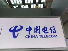 -中国电信(龙盛国际营业厅)