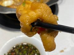 -古乐牛香鲜牛肉牛杂火锅(观前街店)