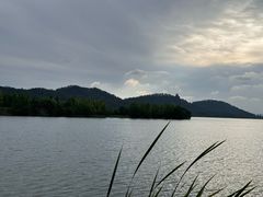 -东湖落雁景区