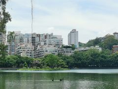 -西湖公园(鼓楼区)