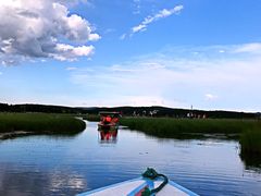 -塞罕坝国家级自然保护区