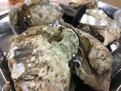 -蚝得喜海鲜(东城店)