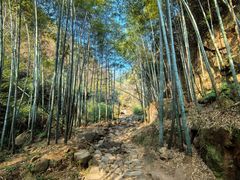 -莫干山风景区