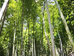 -众神白水涧景区