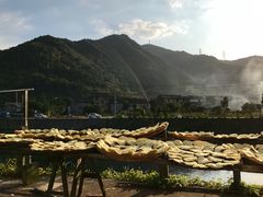 -鹿亭中村