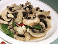 素炒圆菇-萨拉漫饮食(北京中路店)
