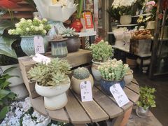 -循礼门鲜花花市(武汉循礼门店)