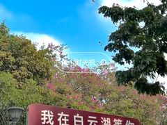 -海珠湖公园