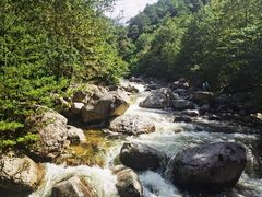 -青峰峡国家森林公园