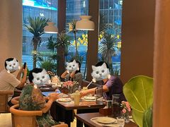 -一沙一城·岩烤牛扒(深圳首店)