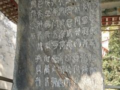 -岣嵝峰国家森林公园