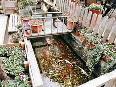 -老洋房花园饭店(绍兴路店)