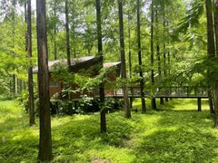 -黄海国家森林公园