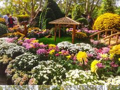 -共青国家森林公园-售票处