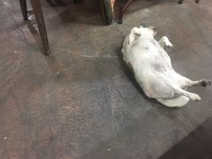 -花莲东大门国际观光夜市
