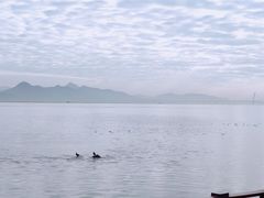 -深圳湾公园(南山区)