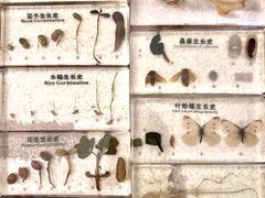 -二酉书店TOYOU BOOKS