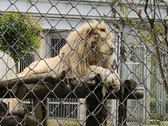 -合肥野生动物园